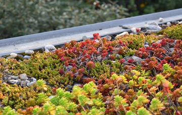 the cost of Welton Le Wold green roof installation