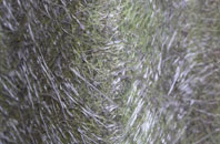 Welton Le Wold fibreglass roof work